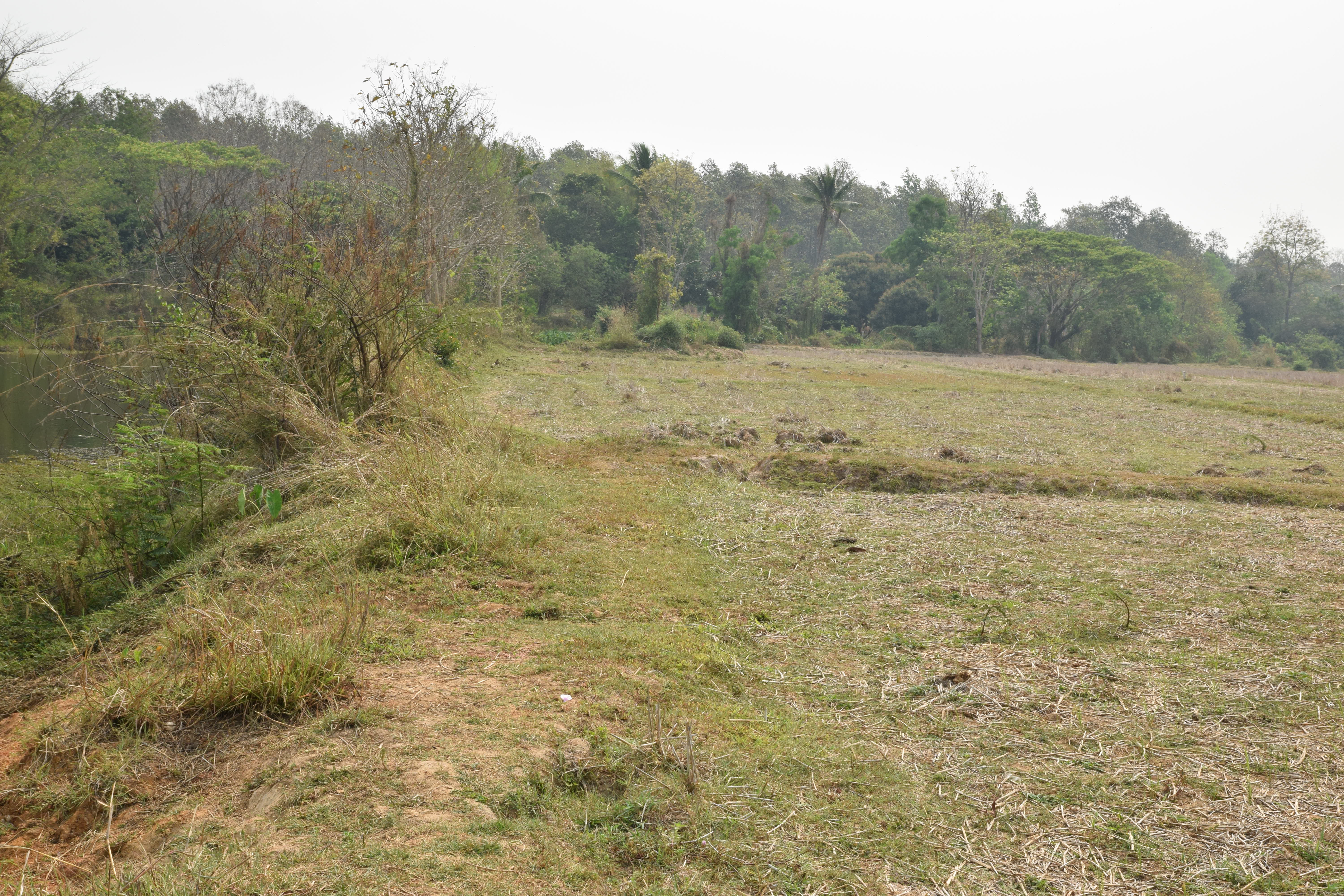 รูปถ่ายพื้นที่ของ ที่นา พร้อมกับสระน้ำ